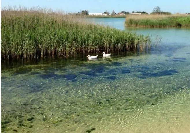 Сasa de vacaciones Salento *